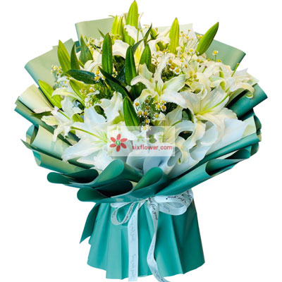 福州8支白色多头百合洋甘菊，如潮的思念