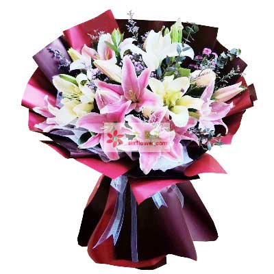 福州8支百合花，天天开心